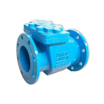 Swing Check Valve BS DIN3202-F6